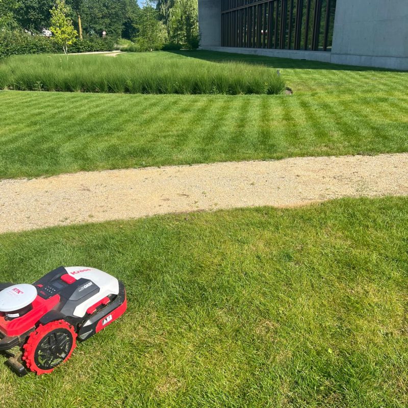 0d67b432-2e33-44ba-b9d1-ea334ea96696